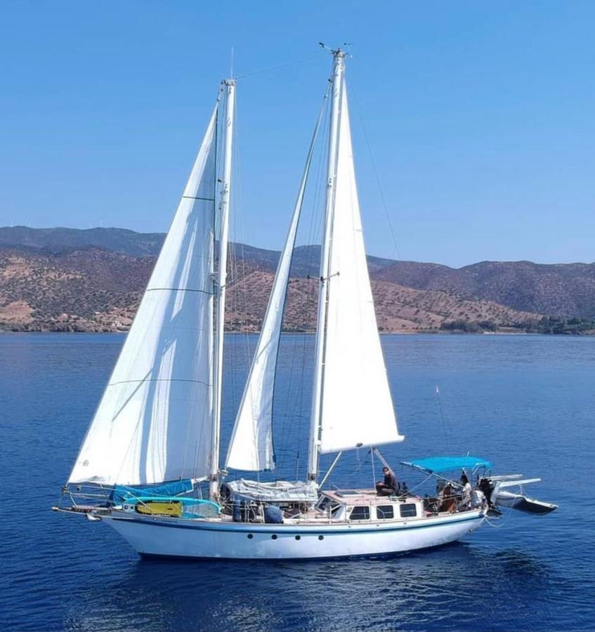 Отель Fantastico Velero En Barcelona Сан-Адриан-де-Бесос Экстерьер фото